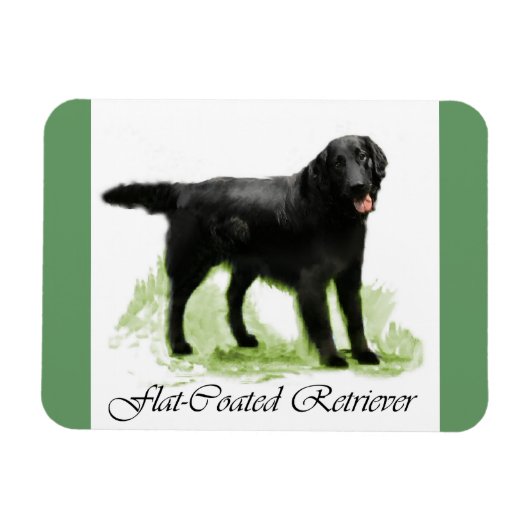 Flattegolven voor het maken van films magneet (Horizontaal)