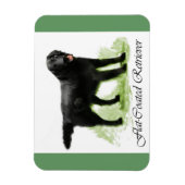 Flattegolven voor het maken van films magneet (Verticaal)