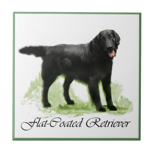 Flattegolven voor het maken van films tegeltje (Voorkant)