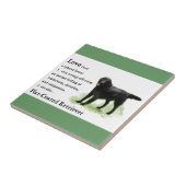 Flattegolven voor het maken van films tegeltje (Zijkant)