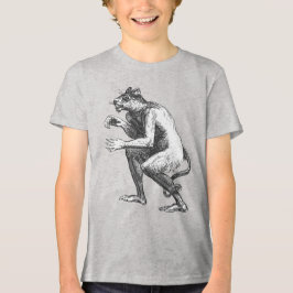 Flauros Humanoïde Luipaard Dictionairre Infernal Tri-Blend Shirt