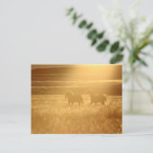 Flaxen Fields Briefkaart (Staand voorkant)