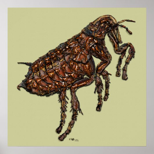 Flea Poster (Voorkant)