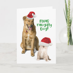 Fleas Naughty Dog Funny Christmas Dog and Cat Feestdagen Kaart