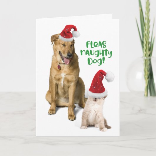 Fleas Naughty Dog Funny Christmas Dog with Cat Feestdagen Kaart (Voorkant)