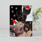Fleas Navidad Singing Cats Kerstmis Wenskaart Folie Uitnodiging (Staand Voorkant)