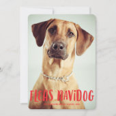 Fleas Navidog Cute Funny Dog | Holiday-foto Feestdagenkaart (Voorkant)