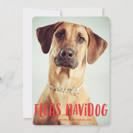 Fleas Navidog Cute Funny Dog | Holiday-foto Feestdagenkaart (Voorkant)