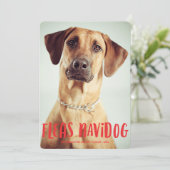Fleas Navidog Cute Funny Dog | Holiday-foto Feestdagenkaart (Staand voorkant)