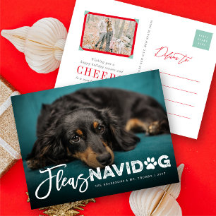 Fleas Navidog Paw Print Hondenliefhebber Foto Funn Feestdagenkaart