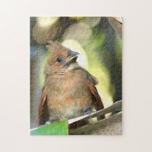 Fledgling Cardinaal Baby Bird Photographic Legpuzzel