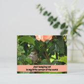 Fledgling Mockingbird Cute Wildlife Photographic Briefkaart (Staand voorkant)