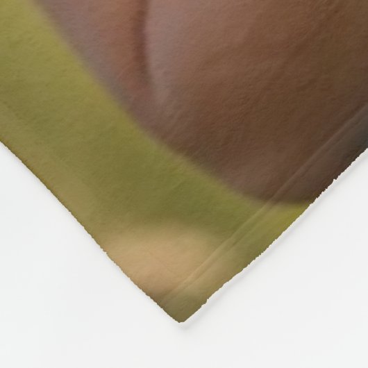 Fleece Blanket (Hoek)