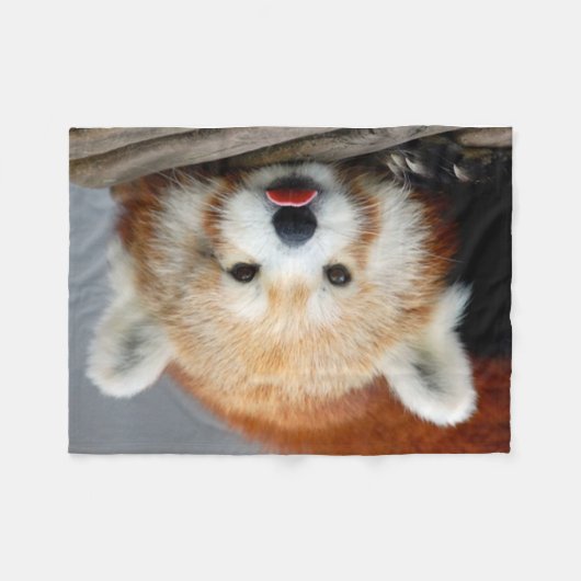 Fleece Blanket/Red Panda (Voorkant (Horizontaal))