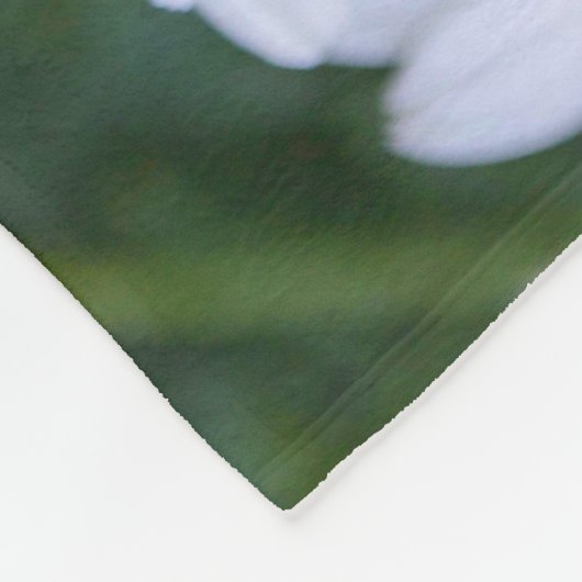 Fleece deken met witte daisy foto (Hoek)