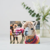 Fleece Navidad! Aplaca Briefkaart (Staand voorkant)