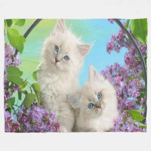 Fleecedeken/Kittens Fleece Deken
