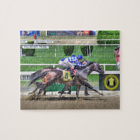 Fleetfoto Finish Legpuzzel (Horizontaal)