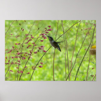 Fleeting Summer Friend Poster