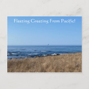 FleetingGroet uit de Stille Oceaan! Briefkaart
