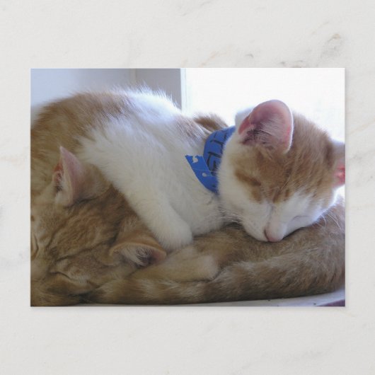 Flemming & Finley Aankondigingskaart (Voorkant)