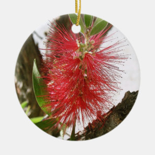 Fles-Brush Callistemon 8 Keramisch Ornament