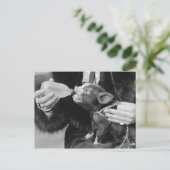 Fles die de biggen van de varkensdarm briefkaart (Staand voorkant)