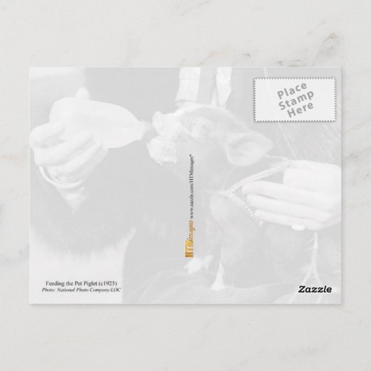 Fles die de biggen van de varkensdarm briefkaart (Achterkant)