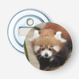 Fles opener Foto red panda, animal 0108.