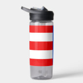 Fles Puerto Rico, patriottische Puerto Ricaanse vl (Rechts)