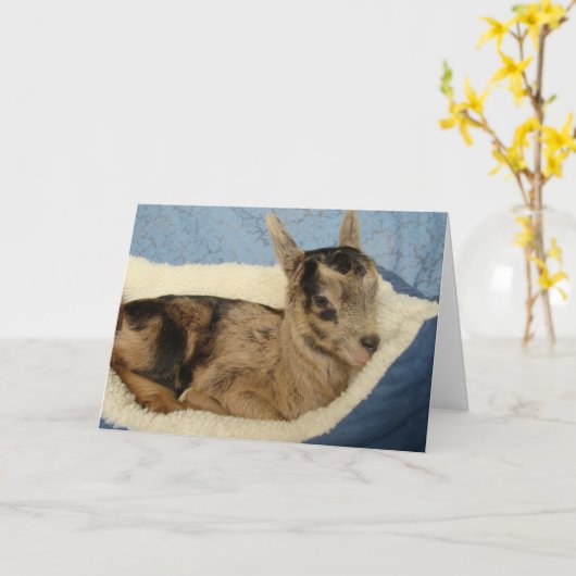 Flesgeit genaamd Aussie Kaart (Gele Bloem)