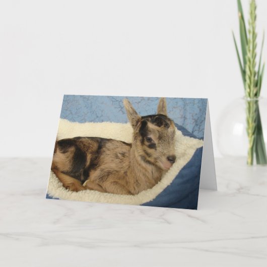 Flesgeit genaamd Aussie Kaart (Voorkant)