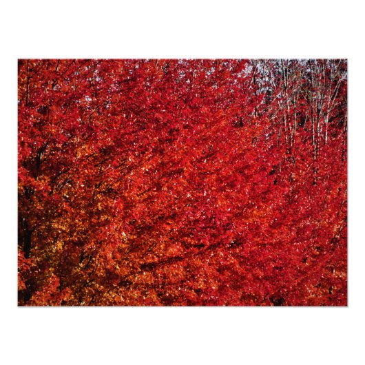 "Flesh and Bone" Foto Afdruk (Voorkant)