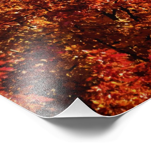 "Flesh and Bone" Foto Afdruk (Hoek)