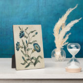  flesje Convolvulus Fotoplaat (Zijkant)