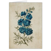 flesje dubbel Larkspur (Voorkant)