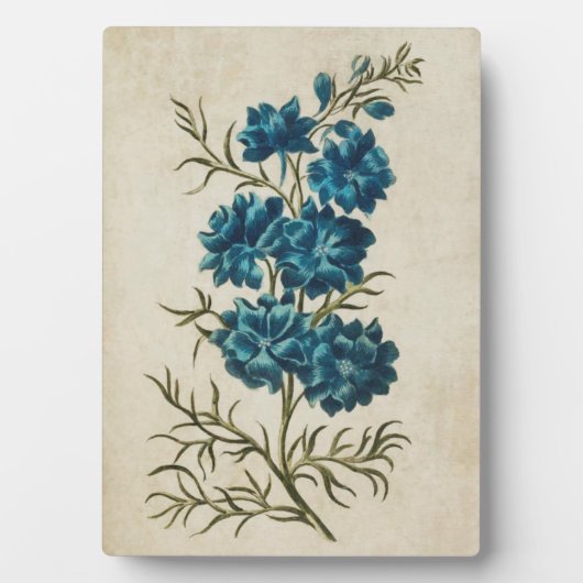  flesje dubbel Larkspur Fotoplaat (voorkant)