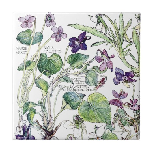 flesjesbloem tegeltje (Voorkant)