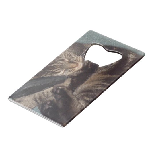 Flesopener voor Dave Credit Kaart Creditkaart Flessenopener (Voorkant Gekanteld)