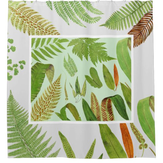 flessen douchegordijn (Voorkant)