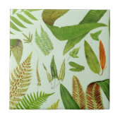  flessen tegeltje (Voorkant)