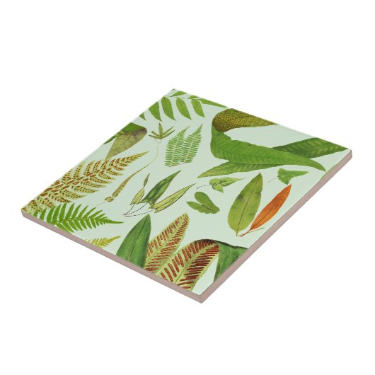  flessen tegeltje (Zijkant)