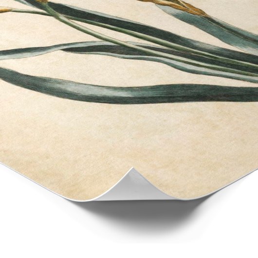  flessenafdioldruk poster (Hoek)