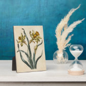 flessenafval Daffodil Fotoplaat (Zijkant)