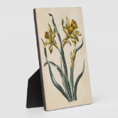 flessenafval Daffodil Fotoplaat (Zijkant)