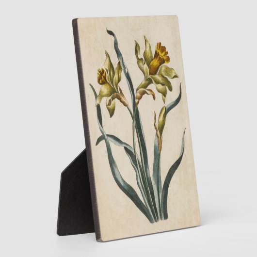 flessenafval Daffodil Fotoplaat (Zijkant)