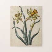 flessenafval Daffodil Legpuzzel (Verticaal)