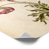  flessenanaalafdruk poster (Hoek)