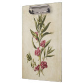 flessenbalsem-illustratie van flesanalen klembord (Links)