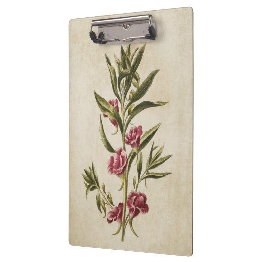  flessenbalsem-illustratie van flesanalen klembord (Links)